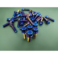 [ 1 PCS ] M8 30MM Screw Universal Heavy Duty Screw Exhaust Screw skru Motor Screw Front Rear Titaniu