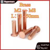 Copper countersunk head rivets GB869 percussion type flat head flat cone head solid rivets Copper d 
