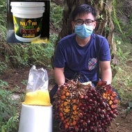 BAJA NPK NUTRIGRO 10KG PAKEJ PLATINUM 6 TONG (3 SUDU/POKOK) SEM. MALAYSIA