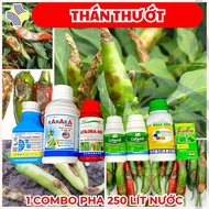Combo 6 Sản Phẩm Kiểm Soát Thán Thư Ớt Mùa Mưa – TV Pyranil + Kanaka + Cyfamo + Atilora + Visen + Si