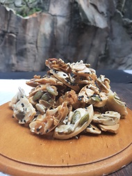Remahan Florentine Cookies