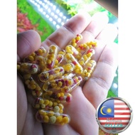 AQUARIUM Root Tab Fertiliser @ Soil Nutrient Booster @ Baja Akar dan Tumbesaran for Aquascape /  Aqu