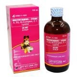 MULTIVITAMINS+LYSINE (LC-VIT SYRUP FOR CATS AND DOGS)