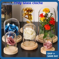 XUESHANN Glass cloche Home Decor Fairy Lights Glass Vase Jar Transparent Bottle Flower Storage box