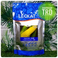 Paket 500g SUGAR RICH 592 Leckat Seeds Biji Benih Jagung Manis F1 Hybrid Sweet Corn Seeds Ready Stoc