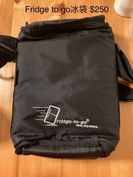 Fridge to go Ace 母乳儲存冰袋