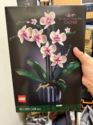 Orchid LEGO 10311