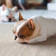 貪睡的法鬥 居家擺飾 / 辦公室療癒小物 黃白花色