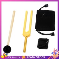 528 Hz Tuning Fork, Solfeggio Tuning Forks 528 Hz for Healing, Musical Instrument, Meditation, Relax