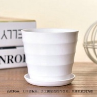 Yi Yi Yi Yi Asparagus Fern Flower Pot Thread Flower Pot Plastic Flower Pot White Thread Basin（Small size）+Phone holder S