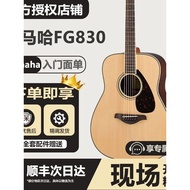 Folk Genuine Guitar fg830/fg800/fg820 Sided Single Guitar Guitar 137cm Beginner Introductory Guitar