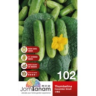 Cucumber Small Thumbelina JT-102 (20 Seeds)