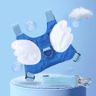 Anti-Lost Safety Walking Tether