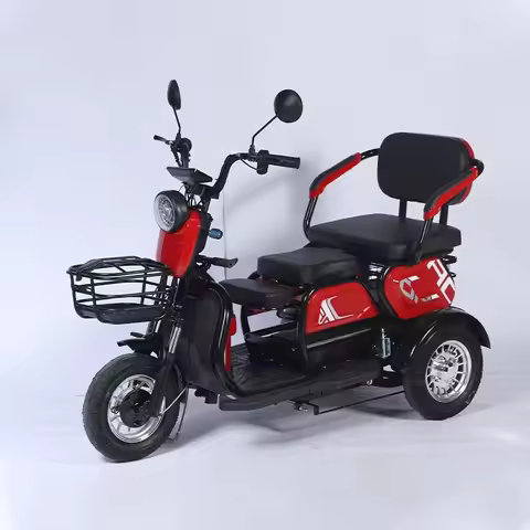 Factory 3 Wheel Electric Bike 600W 48V Electric Tricycles for Adults