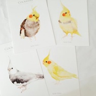 鳥兒明信片組 M 玄鳳