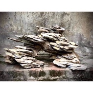 Blister Stone (Selected Item) Aquarium Setup