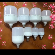 Led pillar bulb (6w)