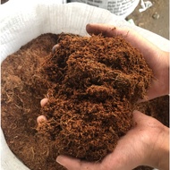 [50dm3] Mekong TTS coco peat-100% processed