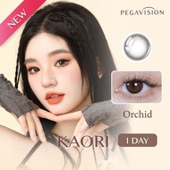 (NEW) PEGAVISION คอนแทคเลนส์สี รายวัน รุ่น KAORI สี Orchid (10 เลนส์/กล่อง)