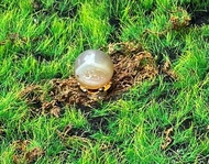 有球必應 招財吸金-天然開口笑瑪瑙球 財運擺件 快速出貨