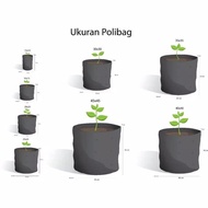 Seed Center Polybag Polybag Polybag Uk 6x12 (10 Sheets)