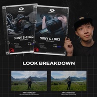🎬 [LUT] Visionary Colour Sony S-Log3/Log2 to Rec.709 Cinematic | MICHIGO STUDIO