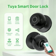 Smart Door Knob Fingerprint Door Lock Smart Lock Biometric Door Lock Fingerprint Door Knob With TUYA