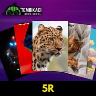 5R (5 X 7 INCH) - CUCI GAMBAR 5R