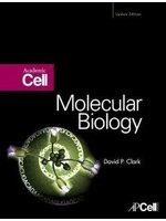 Molecular Biology: Academic Cell Update (新品)