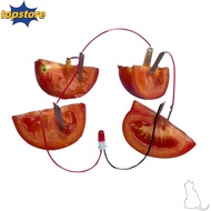 TOPSTORED Electricity Experiments Science Kit, Potato Powered STEM Experiment Kit Fruit Battery Scie