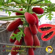 100% Original 10pcs Red Flesh Red Papaya Seed Dwarf Papaya Seeds for Sale Buah Buahan Delicious Bons