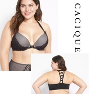 BIGSIZE JUMBO BRA MEDIUM FOAM WIRE SIZE 42 H BRANDED EXPORT