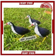 Patung Burung wak wak/Decoy wak wak memikat burung