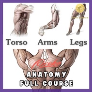 Proko - Anatomy Full Course k1375