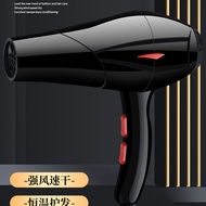 hairdryer hair dryer Hair Dryer Hair Dryer Blue Light Quick-Drying Hair Care Hair Salon Hair Dryer H