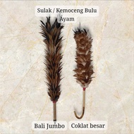 Duster Sulak/ Feather Duster Chicken Feather