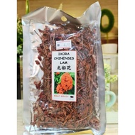 Ixora Chinensis Lam 龙船花 (18g)