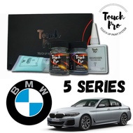 BMW 5 Series Touch Up Paint / TouchPro OEM Automotive Paint / Touch Up Paint System