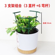 Crab Claw Orchid Bracket Multi-layer Double-layer Gardening Flower Stand Plant Climbing Rack Orchid Pothos Anti-falling