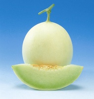 benih biji buah melon madu/melon honey isi 10 biji
