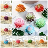 XAVINU 2pcs DIY Artificial Succulent Plants Mini Realistic Simulated Floral Plants Photo Props Plastic Fake Succulent Flocking Plants Wedding