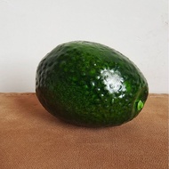 FR-05 Fake Fruit Avocado 8cm.