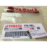 YAMAHA SCREW, TAPPING (1DY1) BODY/SPAKBOR COVER BOLT 97702-50012