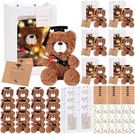 Leitee 30 Set Graduation Stuffed Animal 9" Plush Graduation Bear with Black Cap Greeting Card String Light and Paper Gift Bags for Graduation Day Gift Class of 2024 Party Favor Celebratory Keepsake