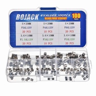 BOJACK Christmas Light Fuses Kit 3.6x10mm Mini Fuse 125V 2.5A 3A 5A and 5x20mm 125V 4A 5A 8A amp Fus