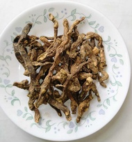 Mandrake Root herbal remedies (Mandragora officinarum/autumnalis) Màndélā 曼德拉 Goddess Hekate’s  Orph