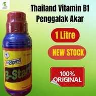 Baja Thailand Vitamin Pokok B1 Penggalak Akar 1 Liter / Vitamine B1 Root Speed Booster