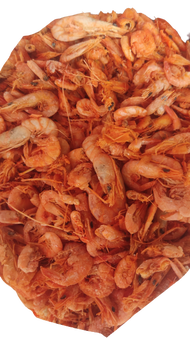 Ebi Udang Kulit Kering 250gr | 500gr | 1 Kg | 50gr