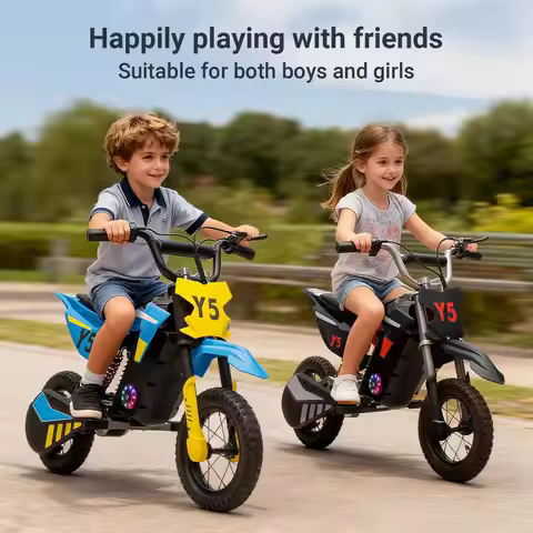 Track Seven 24V Kids Motorcycle 250W Ride On Electric Off-Road Motorbike Lithium Battery Powered 3-S