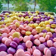 Halal Mini Macaron Borong  - 500pcs